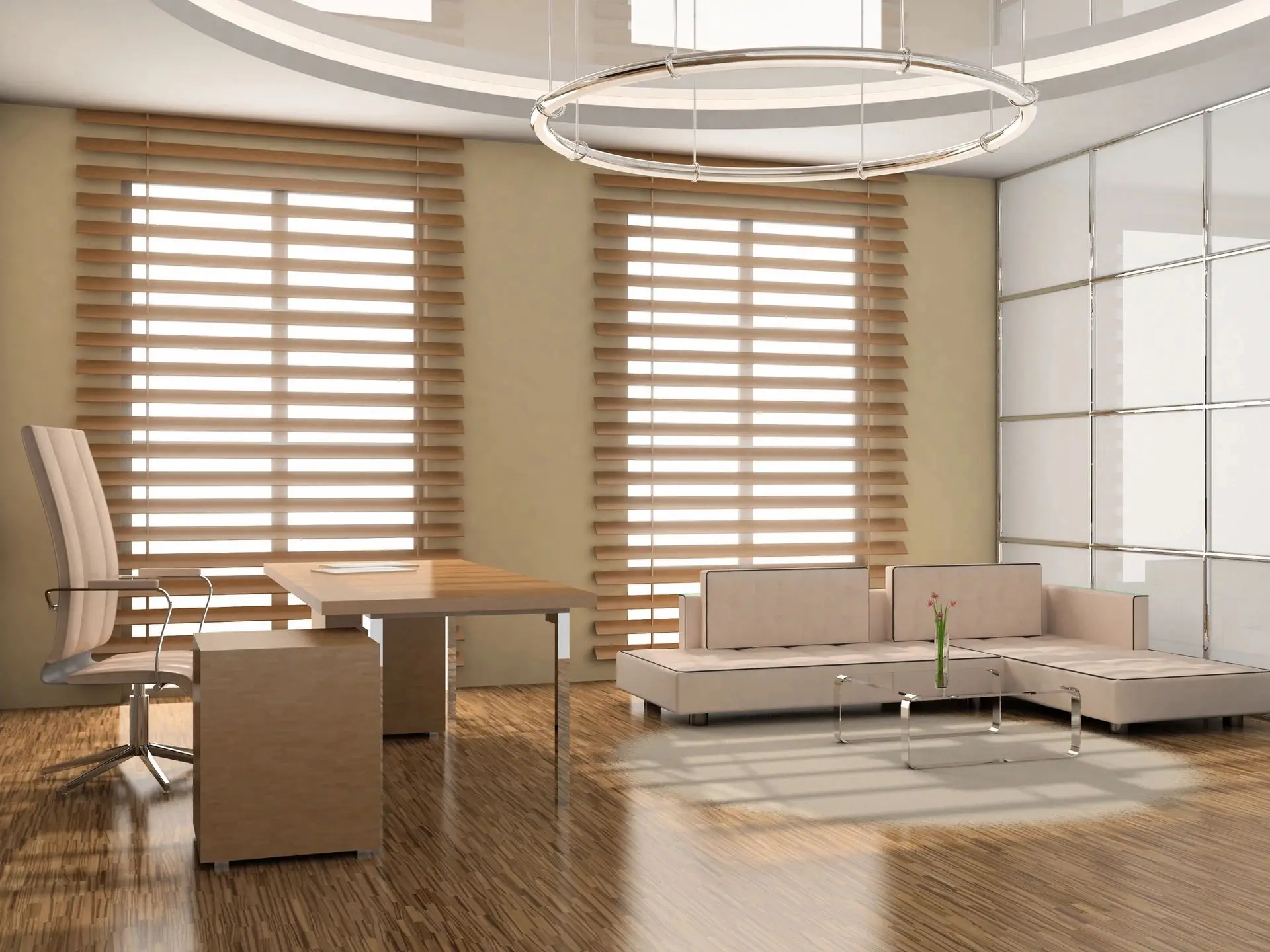 office window blinds